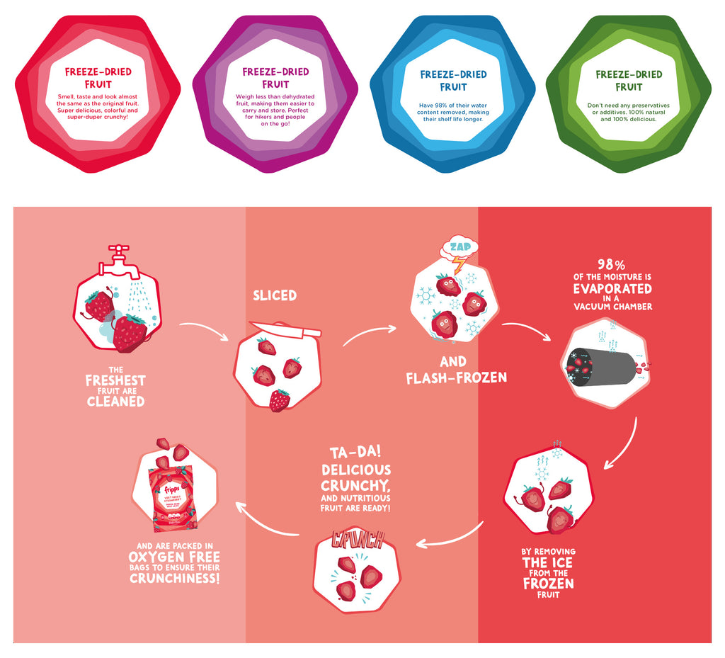 Freeze Drying 101 | Better Bites