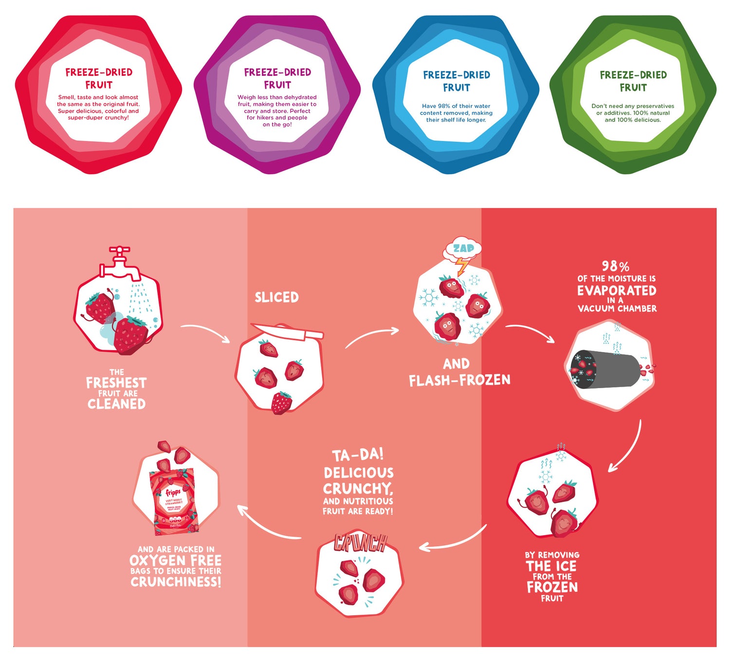 Freeze Drying 101 Better Bites